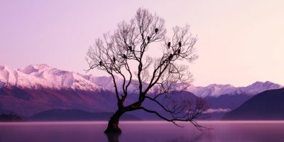 FaMinimalist Magic: Simplify Your World and Unlock a Life of Abundanceshion  <br>10 Article